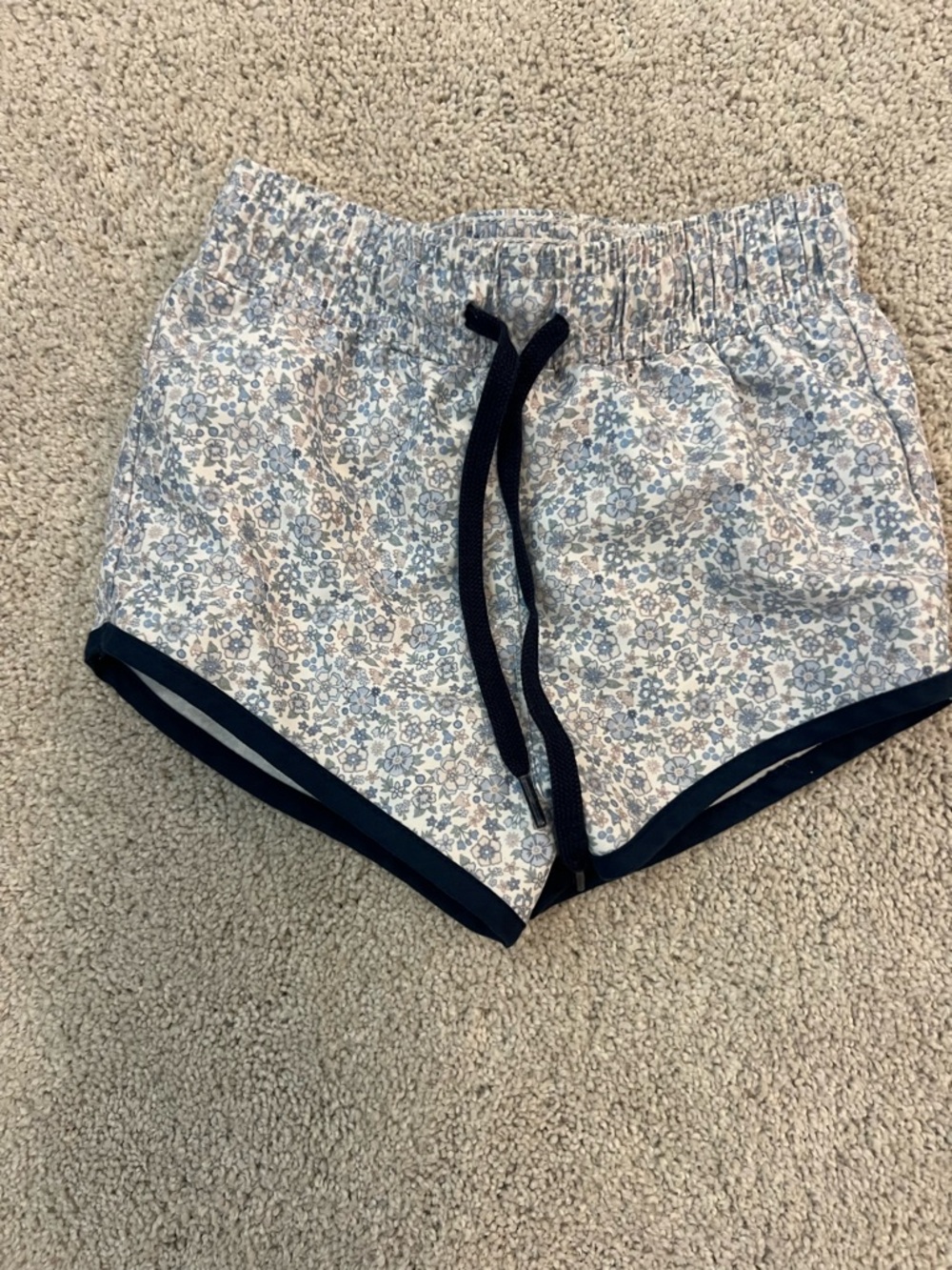 Minnow Swim Trunks